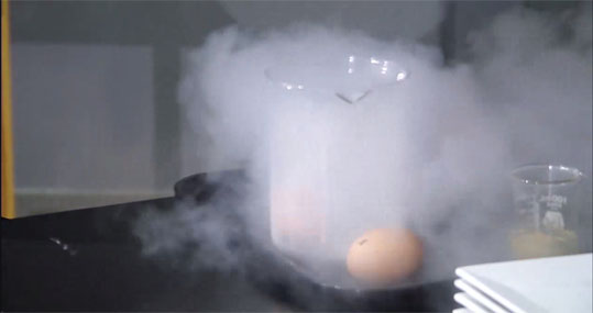 Huevos y nitrógeno líquido