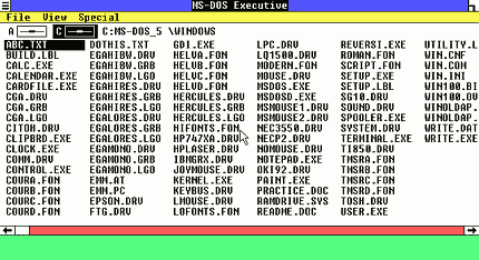 Explorador de Windows 1.01