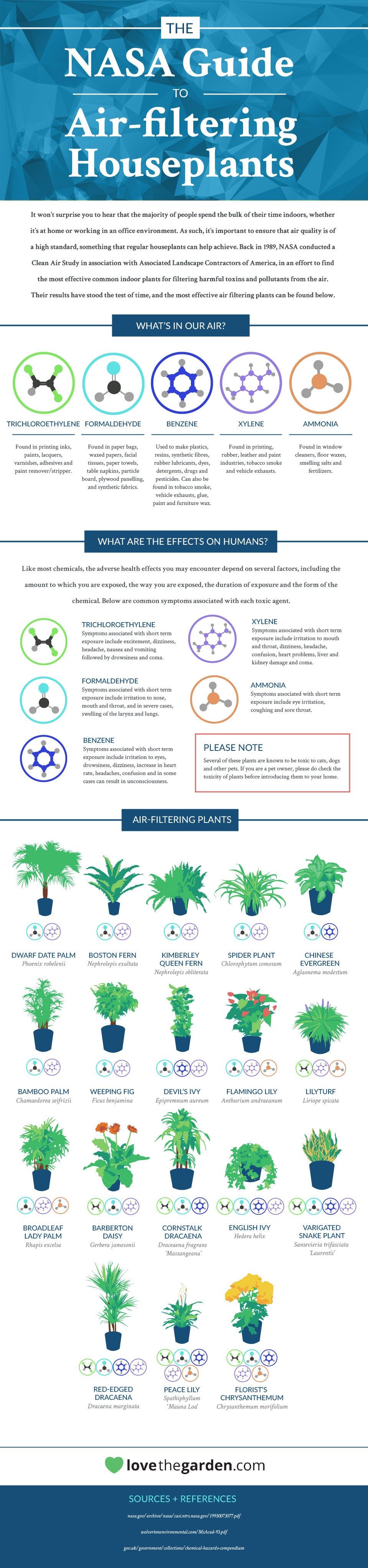 Guía de la NASA de plantas de interior para filtrar el aire